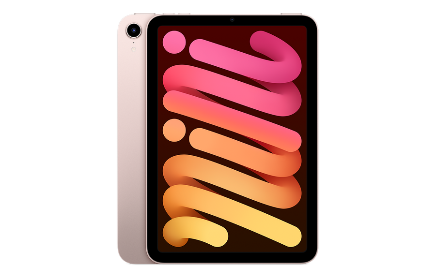 iPad mini (6e génération, 2021) Rose reconditionné
