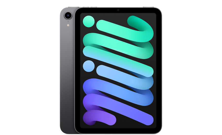 iPad mini (6e génération, 2021) Space Gray reconditionné