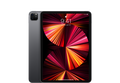 iPad Pro 11 pouces (M1, 2021) Space Gray reconditionné